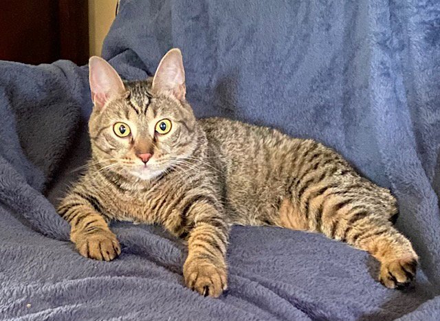 Eileen (Tripod & Gentle Hearted Warrior) Image