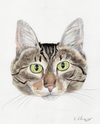 Eileen (Tripod & Gentle Hearted Warrior) - Photo 10