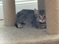 Eowyn - Photo 1