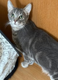 Buddy - Photo 2