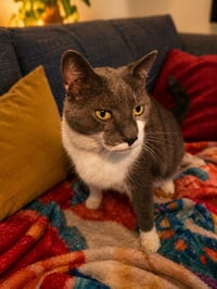 Boyd - Photo 1
