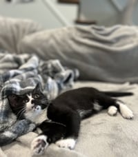Junebug - Photo 3