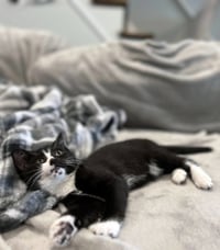 Junebug - Photo 5