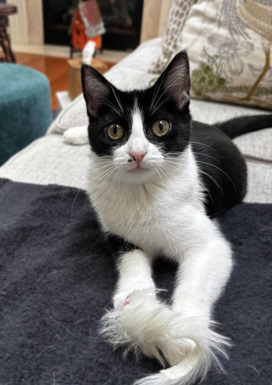 Nini Coco Image
