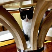 Nini Coco - Photo 3