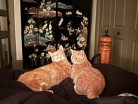 Rudie - Photo 6