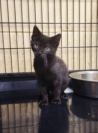 Bitzy - Photo 3