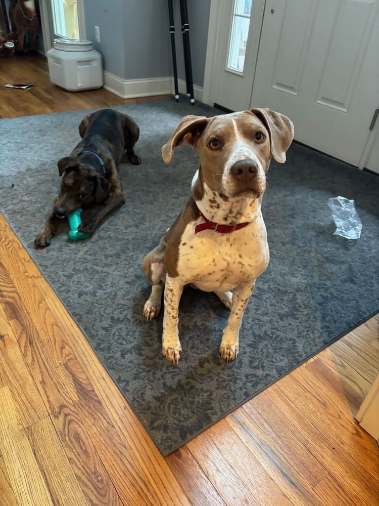 Sunny **Courtesy Post - Photo 3