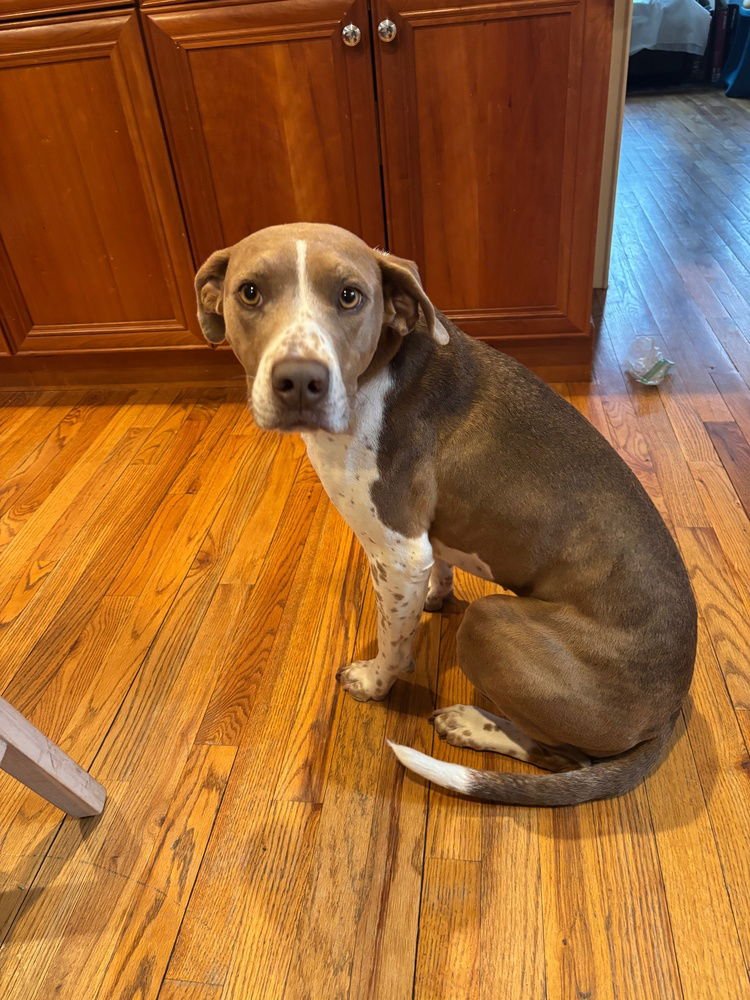 Sunny **Courtesy Post - Photo 4