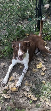 Trevor Available 9/15 - Photo 2