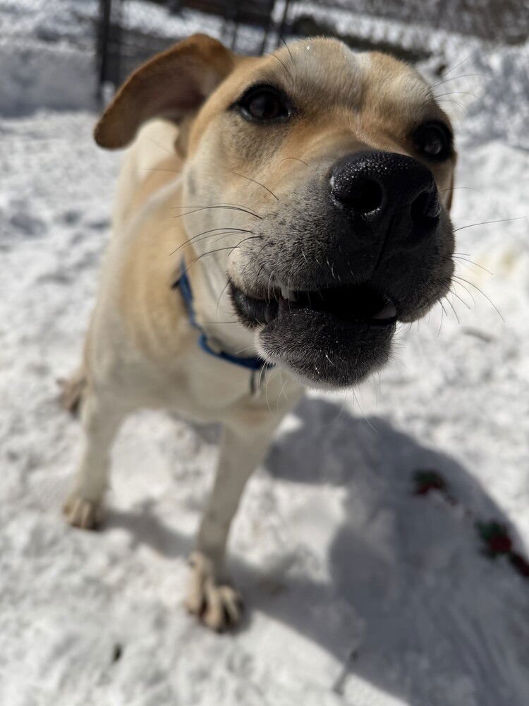 Lenny - Photo 3