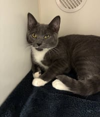 Mayor Vaughn - available 8/31 - Photo 1