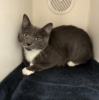Mayor Vaughn - available 8/31 - Photo 4