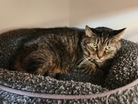 Elinor - Photo 3