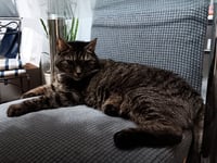 Elinor - Photo 1