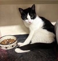 Abigail - Photo 4