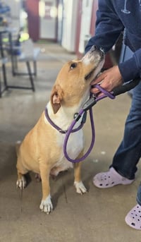 Journey Available 5/15 - Photo 2