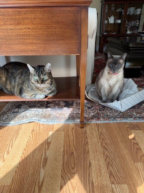 Lea & Bella **Courtesy Post** Image