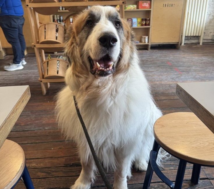 Donny **Courtesy Post Image
