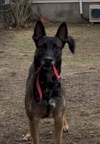 Jett **Courtesy Post** - Photo 3