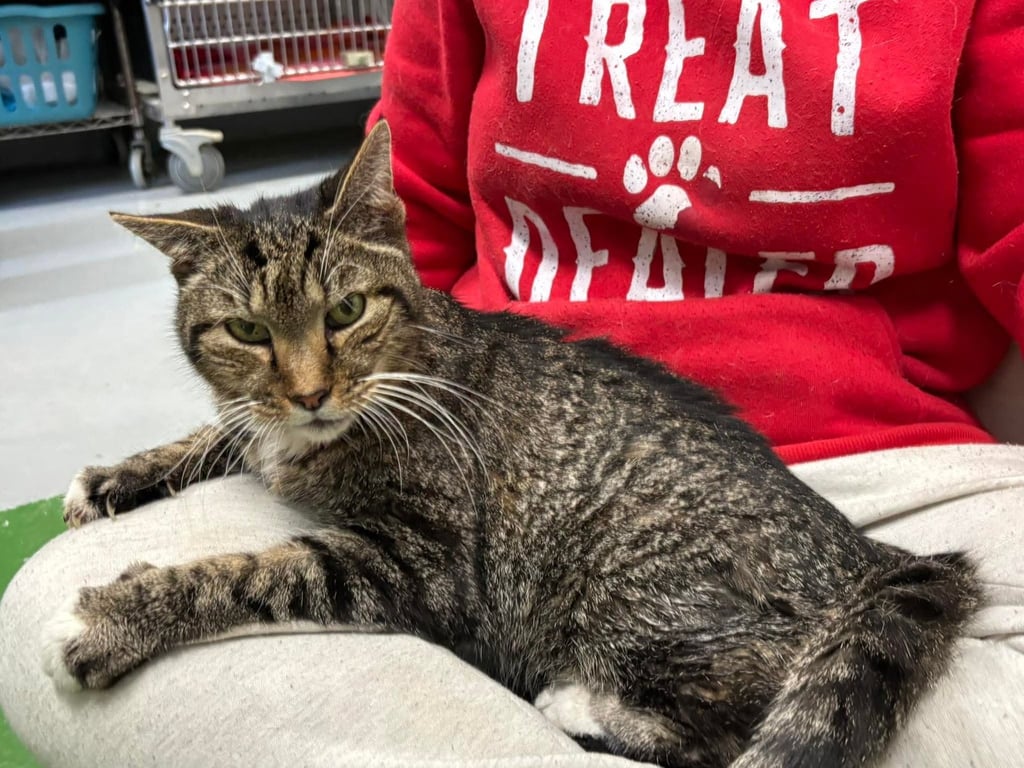 Rupert: At shelter Image