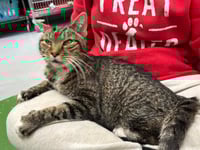 Rupert: At shelter - Photo 2