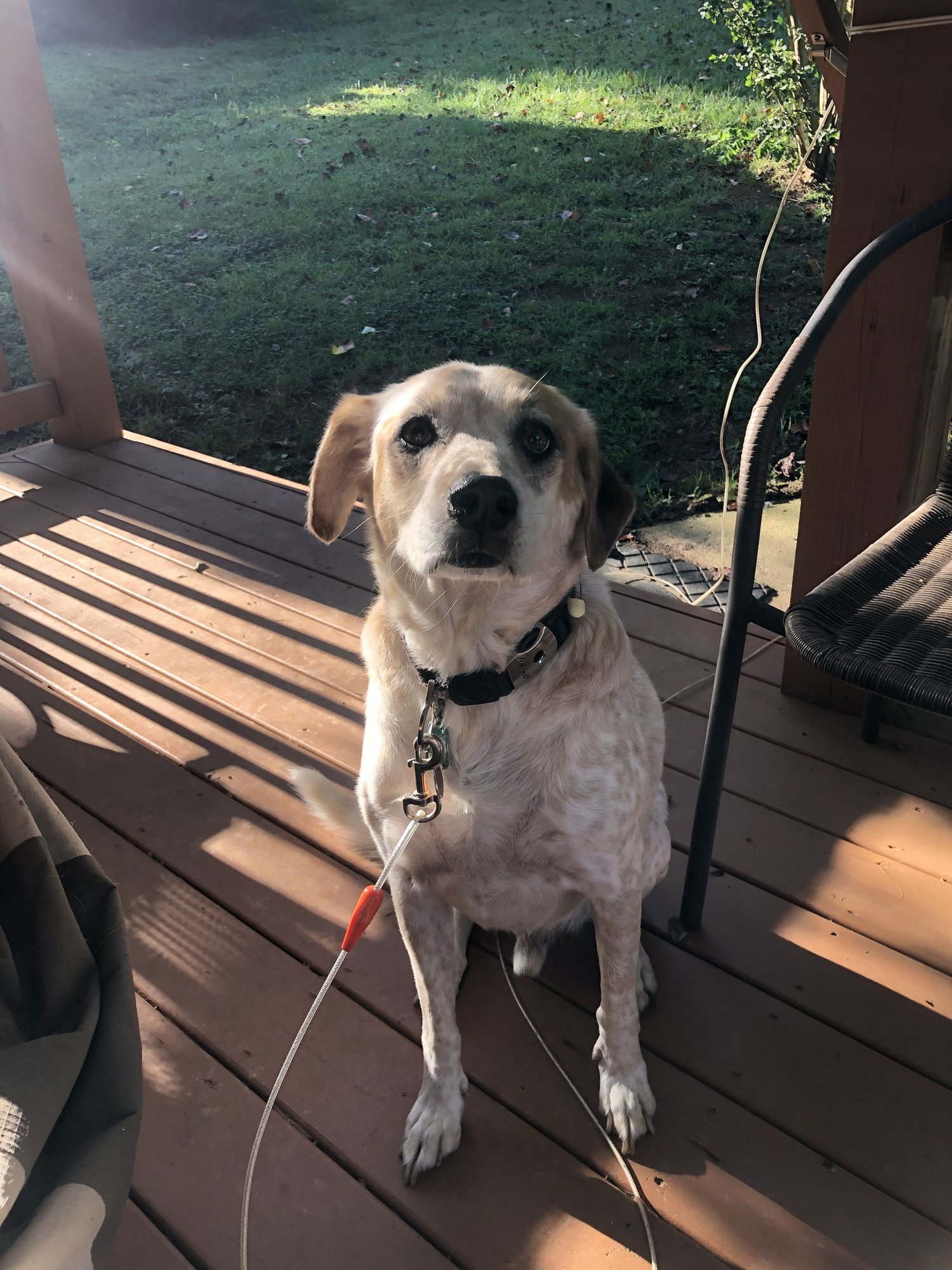 Max: "My Home to Yours" - Photo 2