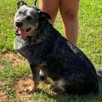 Hale (Old Man): Sponsored: Not at shelter (Stacey) - Photo 1