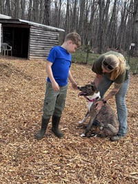 Sophia: Not at the shelter (Alan) - Photo 3