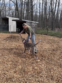 Sophia: Not at the shelter (Alan) - Photo 4