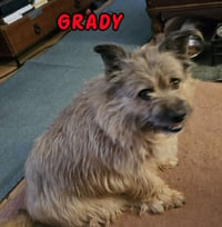 Grady - My Home to Yours/AAMR - Photo 2