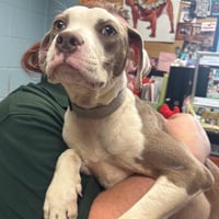 Vanna - At shelter available 9/1 - Photo 2