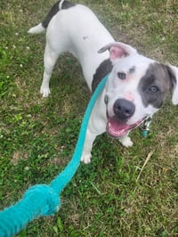 Nelly: At shelter - Photo 2