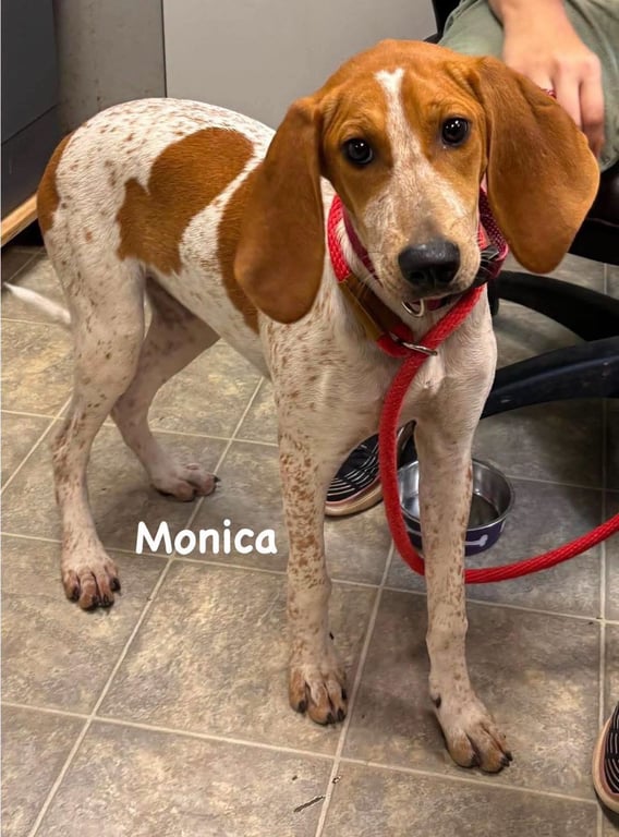 Monica: At shelter Image