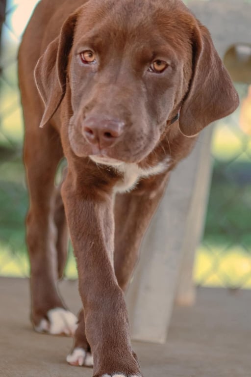 Wafer: At shelter Image