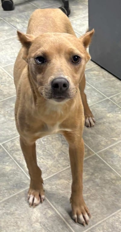 Aurora:At shelter Image