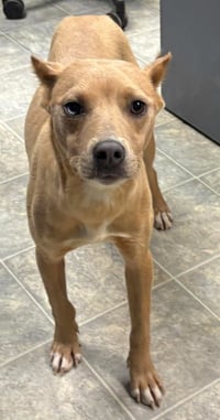 Aurora:At shelter - Photo 1