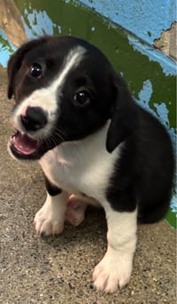 Florian: at the shelter - Photo 1