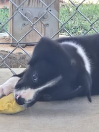 Florian: at the shelter - Photo 4