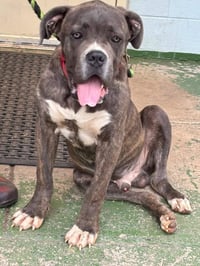 Balder - At shelter available 8:24 - Photo 2