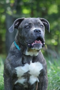 Balder: Not at shelter (Alan) - Photo 5