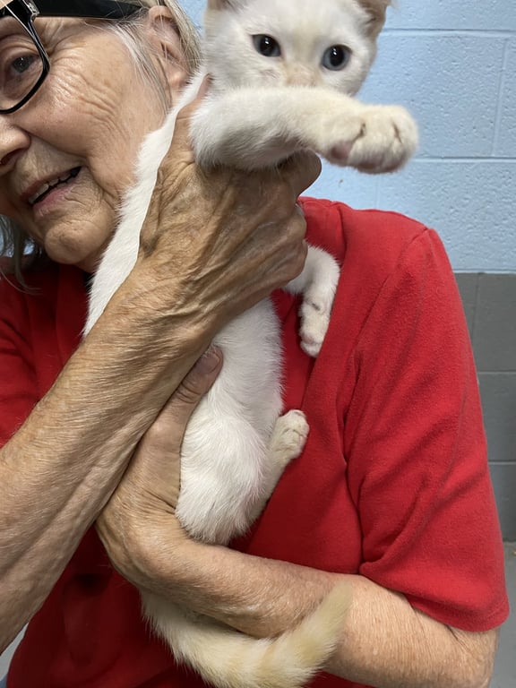 Aspen - At shelter Image