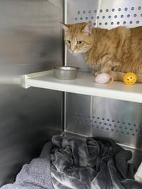Lena: At shelter - Photo 1