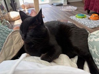 Storm: "My Home to Yours" - Photo 3