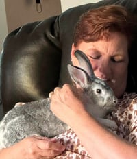 Tony: Not at shelter (Allison) - Photo 7