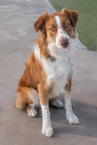 RUDY - Photo 4