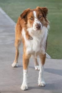 RUDY - Photo 3