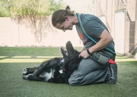 BEAR - Photo 9