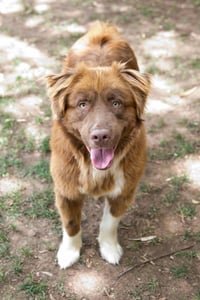 JACK - Photo 20