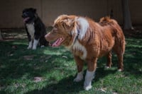 JACK - Photo 22